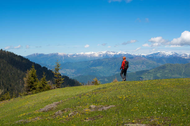 istock Adventurer goes through the alpine meadow 827986576