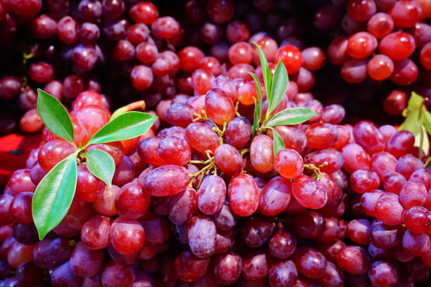 istock Red grapes in the basket for selling 827986626