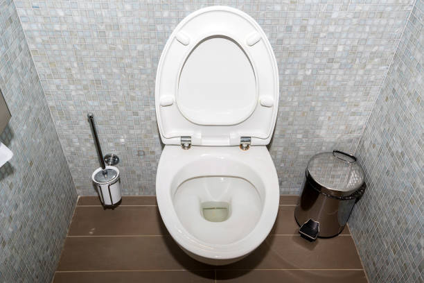istock Flush toilet bowl 827987156