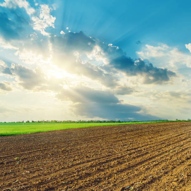 istock clouds and sunset over black agriculture field in spring 827991714