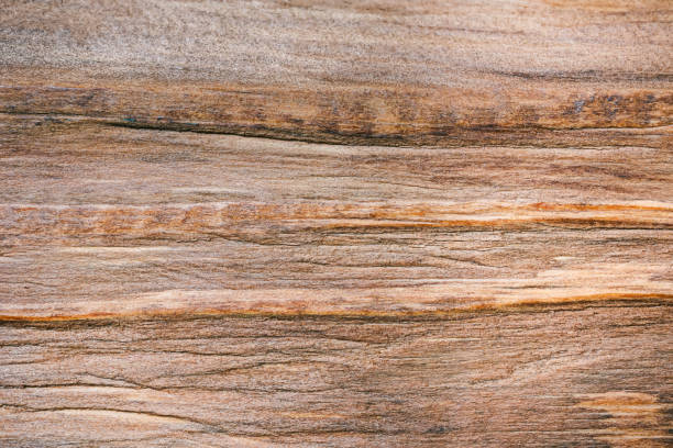 istock Wooden texture after special treatment 827994704