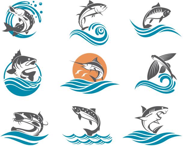 fish illustrations set collection of different fish types with waves wave jumping stock illustrations