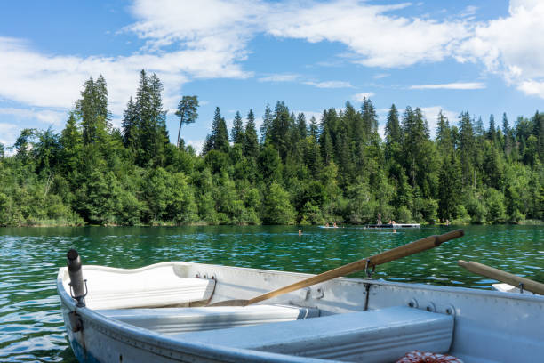istock boats on crestasee lake ready to use 828013978
