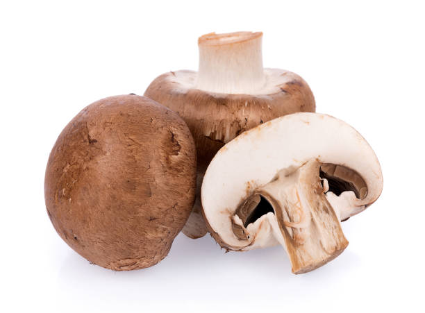 istock Mushroom champignon isolated on white background 828016056