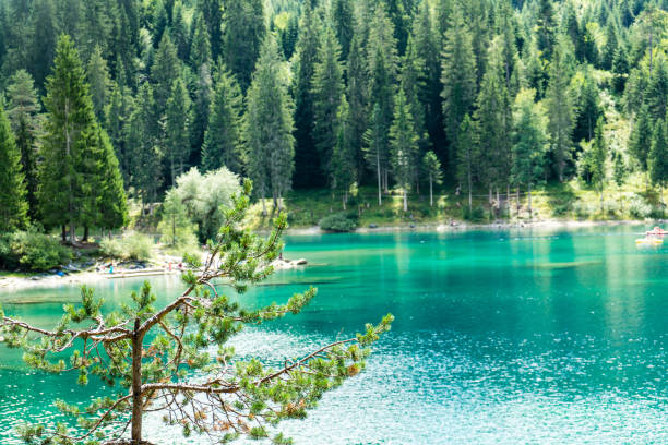 istock Caumasee in Switzerland lake with turquoise water 828018350
