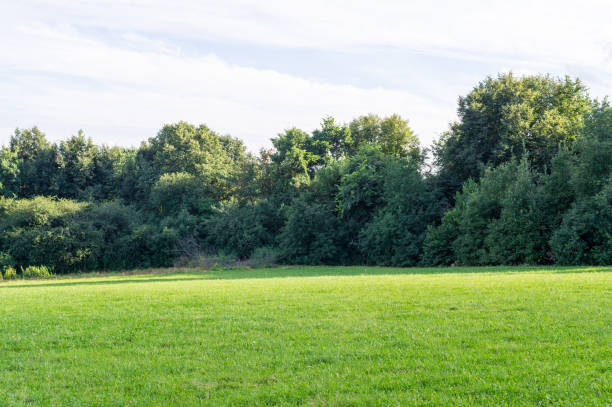 istock sky over the lawn and forest. background, nature 828024512
