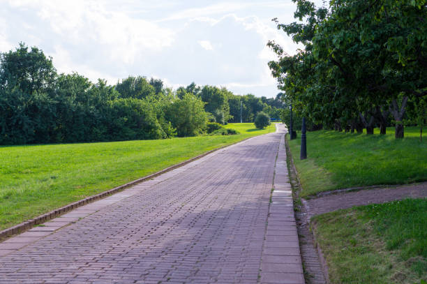 istock road through park at summer. background, nature. 828024532