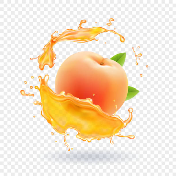 ilustrações de stock, clip art, desenhos animados e ícones de peach juice. realistic fresh fruit splash of juice vector illustration - peach juice