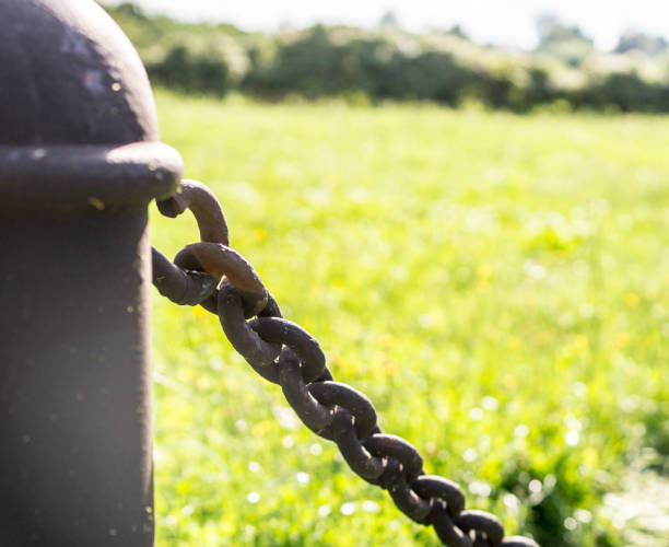 istock pillar with chain on grass background. industrial, nature. 828029590