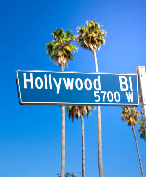 istock Hollywood Blvd Sign 828043660