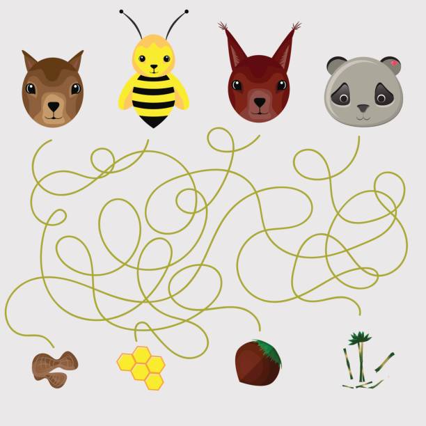 ilustrações de stock, clip art, desenhos animados e ícones de education maze or labyrinth game for chidren. squirrel, panda, cane, bee, honeycomb, chipmunk, peanut, nut - plaza mayor