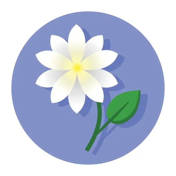Vector illustration of jasmine flower icon 1