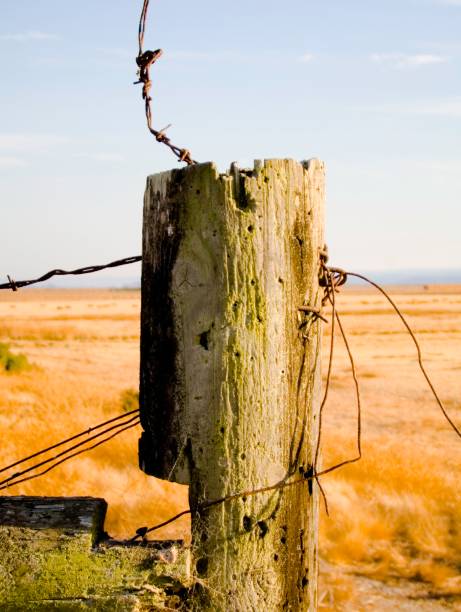 rusty wire on fencepost, high desert stock photo