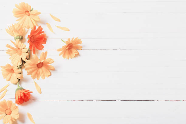 istock Calendula (Marigold) herbal tea  on white wooden table 828083244
