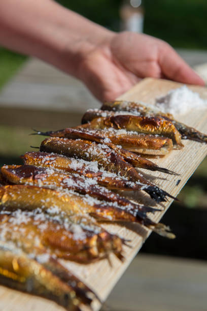 istock Traditional meal in Finland - smoked fish 828087312