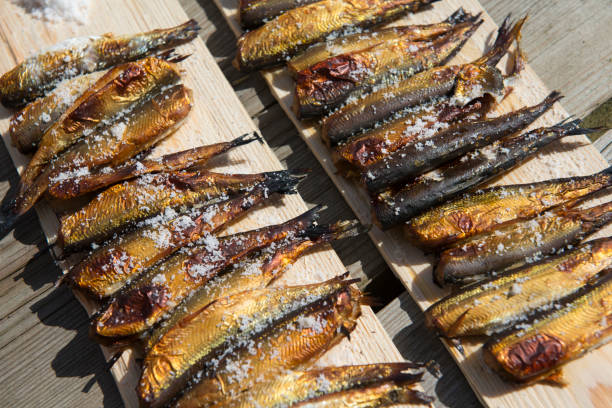 Traditional meal in Finland - smoked fish Smoked and grilled fish "vendace" in Mikkeli region, Finland lappeenranta stock pictures, royalty-free photos & images