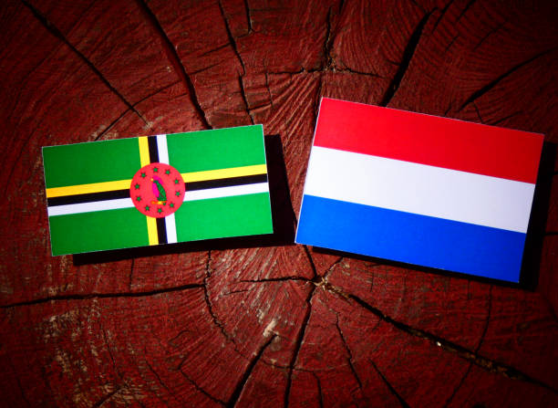 istock Dominica flag with Dutch flag on a tree stump isolated 828087686