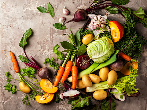 Variety of fresh raw vegetable ingredients for cooking of vegetable soup or stew. Autumn vegetable still life on rustic vintage background. Top view