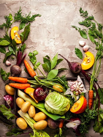 Variety of fresh raw vegetable ingredients for cooking of vegetable soup or stew. Autumn vegetable still life on rustic vintage background. Top view