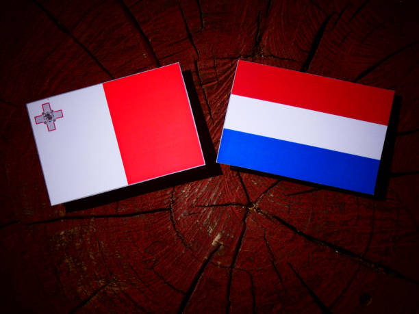 istock Maltese flag with Dutch flag on a tree stump isolated 828091864