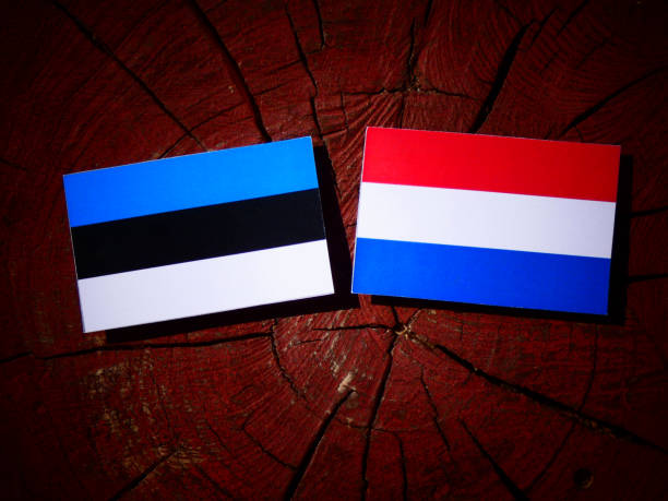 istock Estonian flag with Dutch flag on a tree stump isolated 828094994
