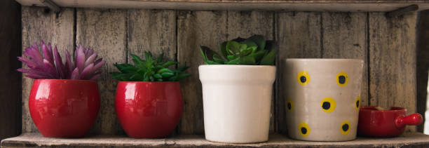 plants in small pots for home decoration plants in small pots for home decoration are placed on a wooden Shelves. seramic stock pictures, royalty-free photos & images