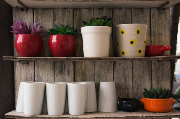 plants in small pots for home decoration plants in small pots for home decoration are placed on a wooden Shelves. seramic stock pictures, royalty-free photos & images