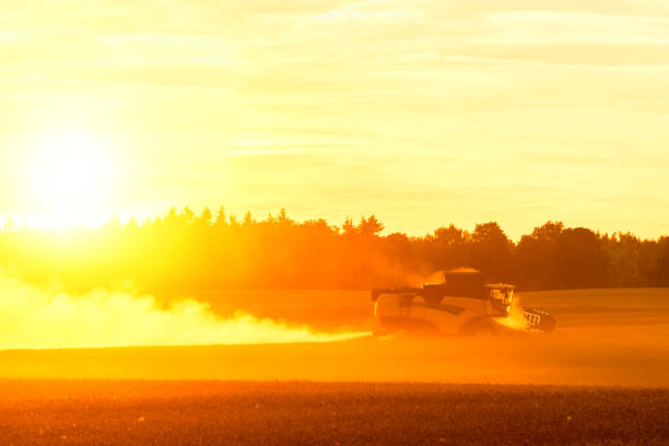 istock combine harvester on field in sunset in summer with dust 828096606