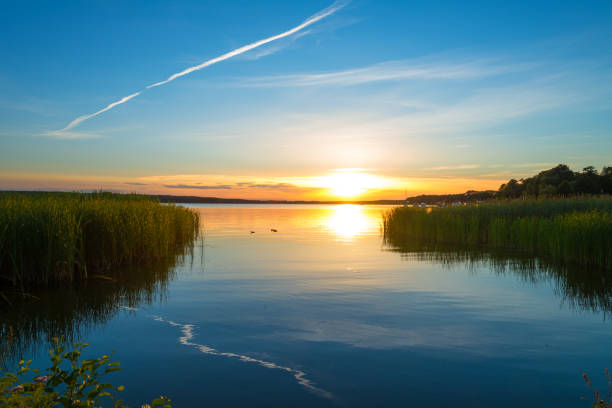sunset on lake with reed grass and blue sky