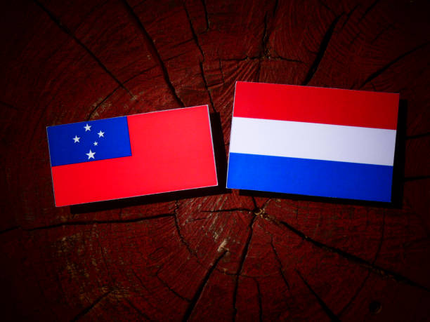 istock Samoa flag with Dutch flag on a tree stump isolated 828101352