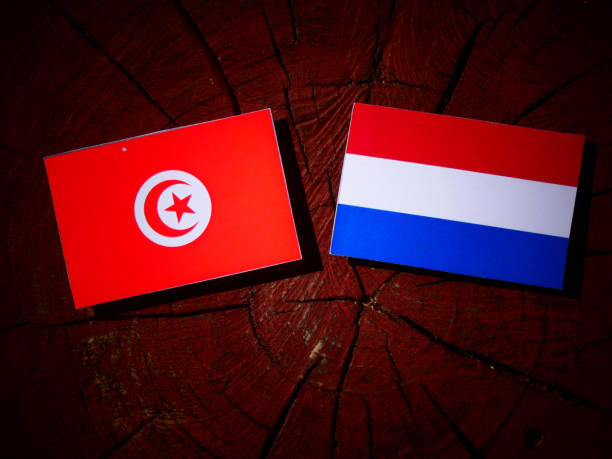 istock Tunisian flag with Dutch flag on a tree stump isolated 828102190