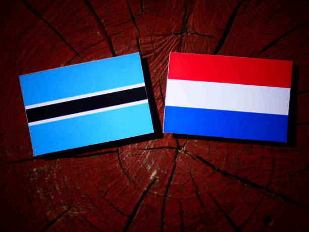 istock Botswana flag with Dutch flag on a tree stump isolated 828102278
