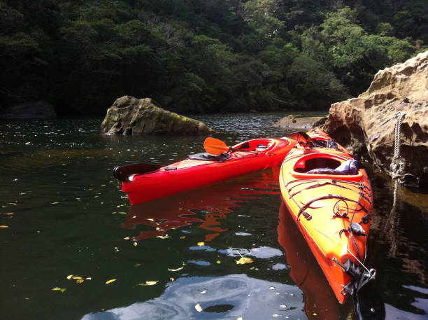 istock Kayaks in the river in Okinawa, Japan 828117588