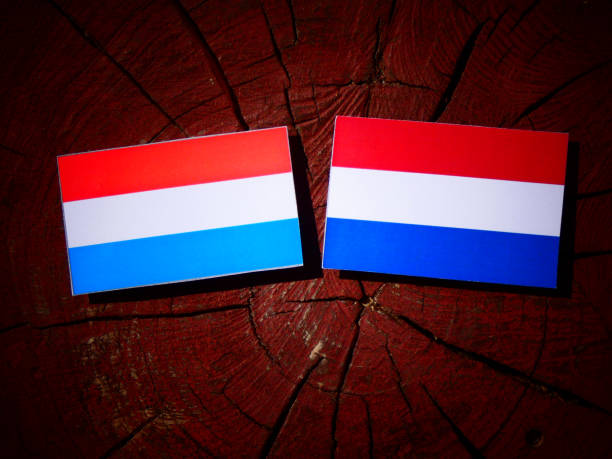 istock Luxembourg flag with Dutch flag on a tree stump isolated 828118334