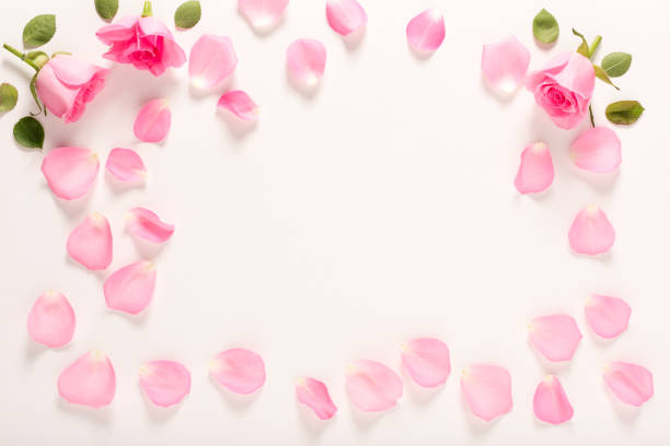 istock Roses and leaves top view 828122302