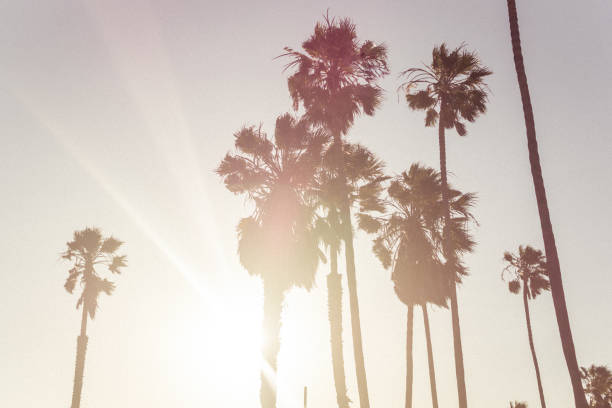 istock Sunny day in Los Angeles 828126740