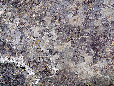 Havco Texture Ocean Rock Texture With Salt Deposits And Moss Patterns Stock Photo ...