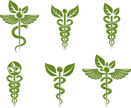 Collection of Caduceus illustrations composed with poisonous snakes and bird wings, healthcare conceptual vector illustrations. Alternative medicine theme.