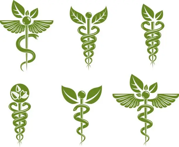 Vector illustration of Collection of Caduceus illustrations composed with poisonous snakes and bird wings, healthcare conceptual vector illustrations. Alternative medicine theme.