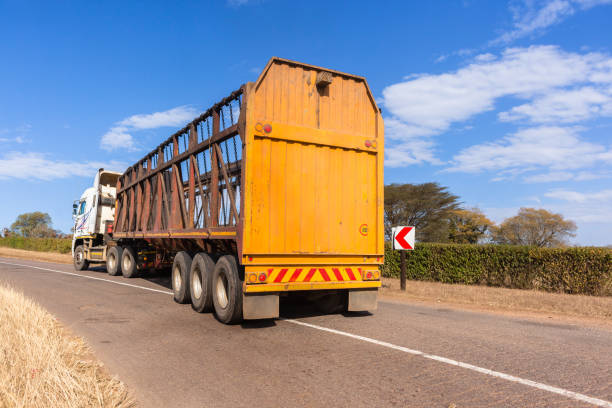istock Truck Sugarcane Carrier 828134000