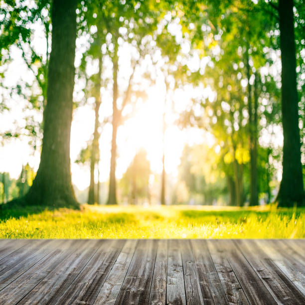 背景に緑豊かな公園のウッドデッキ - landscaped spring canada footpath ストックフォトと画像