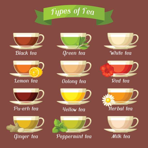 ilustraciones, imágenes clip art, dibujos animados e iconos de stock de tipos de té. conjunto de copas de cristal con diferentes gustos e ingredientes - tea chinese tea japan green tea