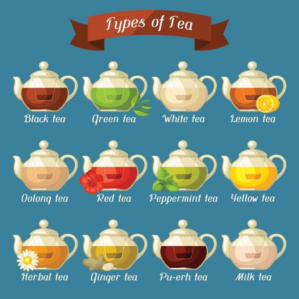 ilustraciones, imágenes clip art, dibujos animados e iconos de stock de tipos de té. set de ollas de vidrio con diferentes gustos e ingredientes - tea chinese tea japan green tea