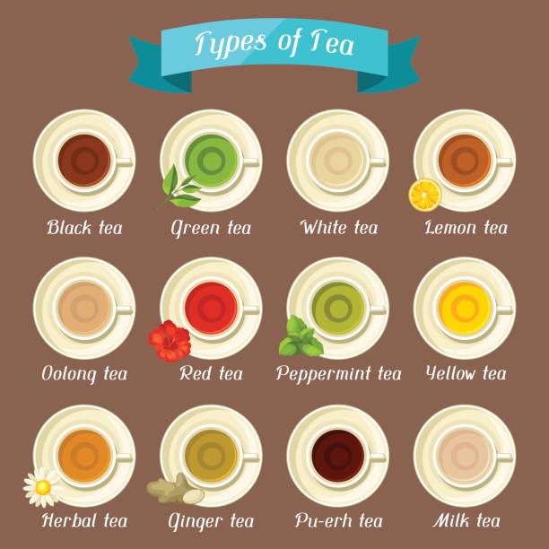 ilustraciones, imágenes clip art, dibujos animados e iconos de stock de tipos de té. juego de tazas de cerámica con diferentes gustos e ingredientes - tea chinese tea japan green tea