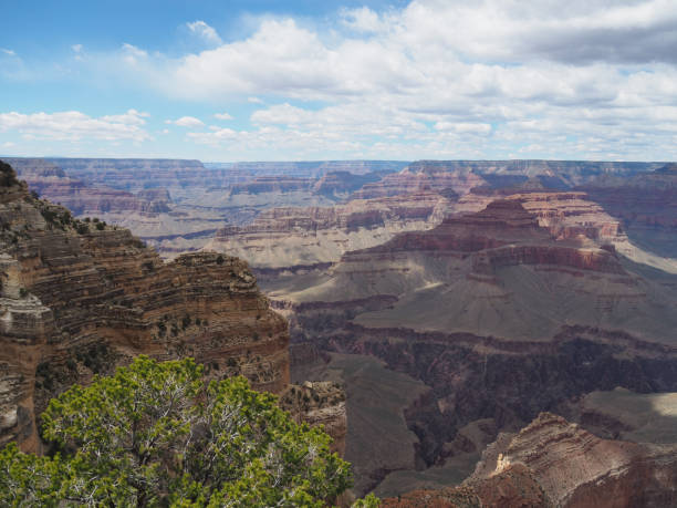 istock Beautiful view into the Grand Canyon from South Rim 828140104