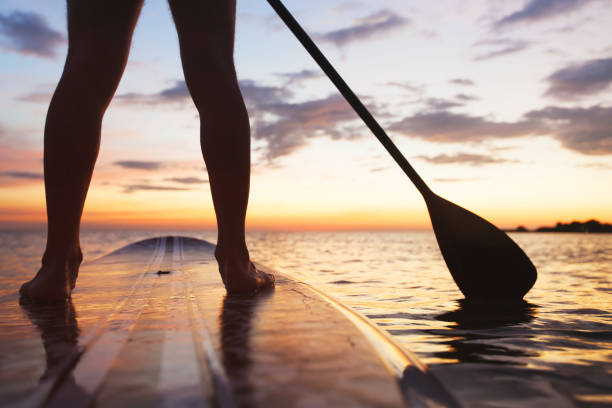 sup, stand-up paddle sur la plage au coucher du soleil - paddle surfing photos et images de collection