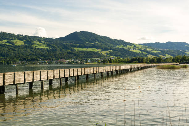 istock Old wooden bridge in Rapperswil 828151442