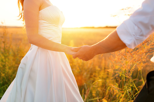Hands of the bride and groom over the wheat field. Fairytale romantic couple of newlyweds hugging at sunset.