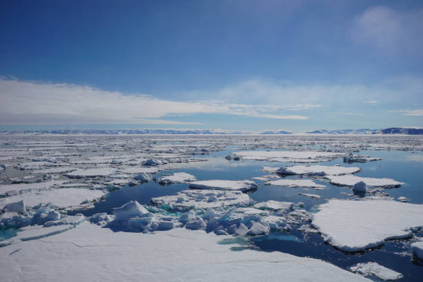 istock Breathtaking Views of the Arctic Pack Ice near Svalbard 828178954