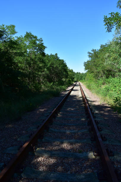 istock Abandoned City Chernobyl Nuclear Exclusion Zone 828179264